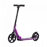 ������� 2-� ���,"City-Ride",������.,d-200��, �� 100��