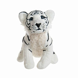 ������� ����. ����� ���� 20 ��