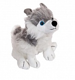 ������ ����� � ����� 18 ��