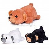 ������� ���. "�������" 20 �� 