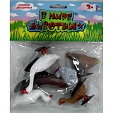 � ���� ���. �������� ����� 5 ��. � ���.