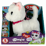 ������������� ����� ����, 22�� � �������-��������