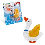 ����-������ �/����� ���� 