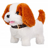 ������� ���. "�����" �����,������ ���������,����