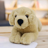 �������� 85�� (��������) 