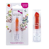 ������ � ���������,� ����.��������,����������