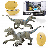 �������� "������������" �����, �/�, 27MHz