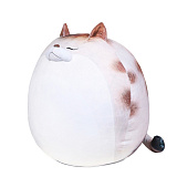 ������� ���,  50 ��