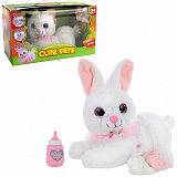 ������� ����� "���� � ���������"