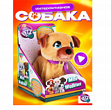 ������������� ���. "�������� ������� �������".