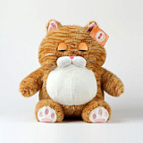 ������� ����. ��� 26 ��