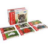 ��� �� ������� 6 � 1-������ 3