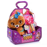 ������� ����� ������� "�������� �������"