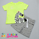 ������ �/� 2 ����.���.����� ��������� ����