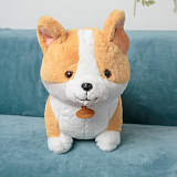 ������� ����. ������ ����� 55 ��