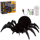 �����-���� �� �/�, 25 ����, �����. ���.