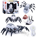 ���� �/�, ������ ����, ����, ����, �����