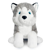 ������ �����, 25 ��