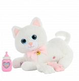 ������� ����� "����� � ��������"