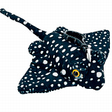 ������� ���. ���� ������ 15��  � ���������