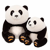 ������� ���. ����� � ������� ���������