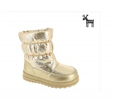 ������ �/� ���.�./�����. ������ gold